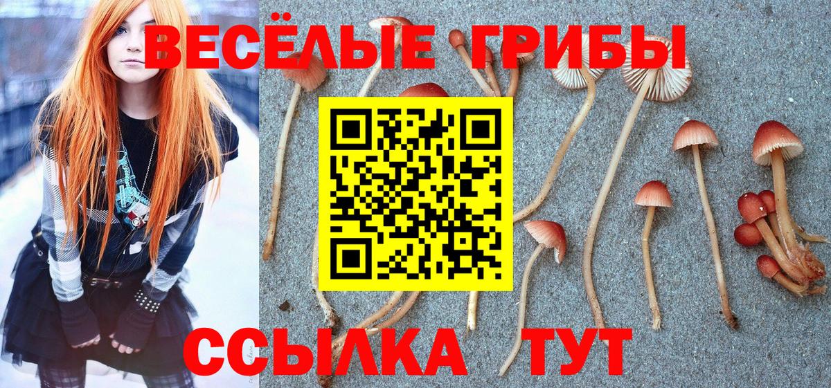 Галлюциногенные грибы мицелий  Вход с VPN  Славгород  Галлюциногенные грибы Magic Shrooms 